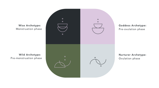 Guide to the Phases of the Menstrual Cycle