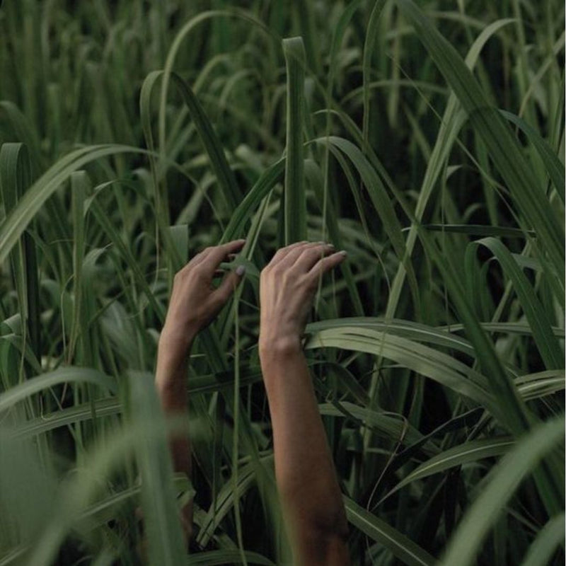 Deepen your connection with nurturer